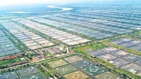 Tỉnh "sát vách" với TP.HCM được chuyển đổi hơn 73 ha đất trồng lúa để làm KĐT hơn 4.000 tỷ đồng