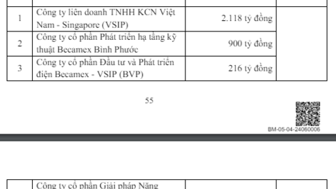 Becamex muốn đấu giá công khai 300 triệu cổ phiếu, huy động tối thiểu 15.000 tỷ đồng, rót vốn cho 1 loạt khu công nghiệp quan trọng