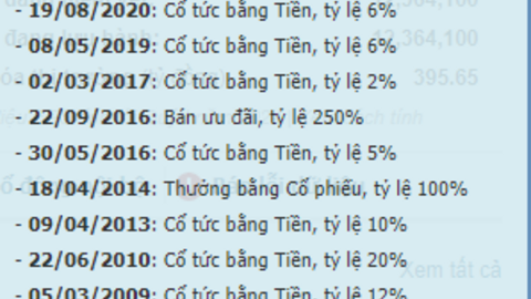 Doanh nghiệp có cổ đông lớn liên quan Vạn Thịnh Phát dốc hết hầu bao trả cổ tức tiền mặt cao kỷ lục