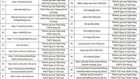 Chỉ trong 1 tháng phát hiện 28 website giả mạo ngân hàng