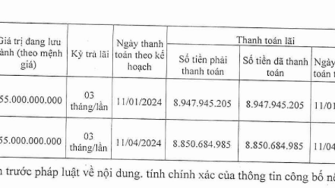 Một doanh nghiệp của Shark Đặng Hồng Anh báo lãi ròng bán niên 2024 giảm 88%