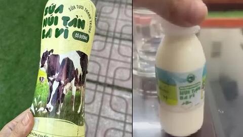 Các trường tạm dừng sử dụng sữa Núi Tản Ba Vì để chờ cơ quan chức năng kết luận