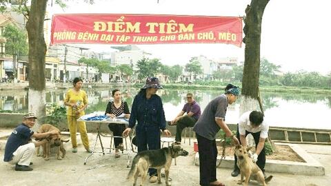 Ghi nhận trường hợp thứ 12 bị chó dại cắn