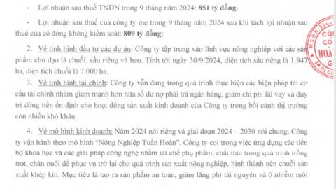 Hoàng Anh Gia Lai khắc phục cổ phiếu thuộc diện cảnh báo ra sao?