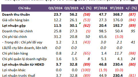 Lợi nhuận 9 tháng NDN rơi gần 80% dù lãi đầu tư chứng khoán gần 100 tỷ 