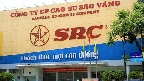 Cao su Sao Vàng bị phạt và truy thu thuế 1,3 tỷ đồng