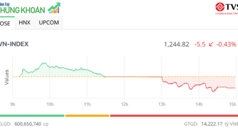 Cổ phiếu nào khiến VN-Index đảo chiều giảm?