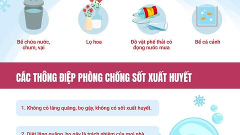 Bộ Y tế khuyến cáo người dân chủ động phòng, chống sốt xuất huyết