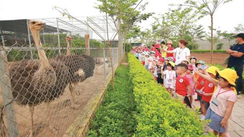 Hà Nội phát triển kinh tế làng nghề từ du lịch và sản phẩm OCOP