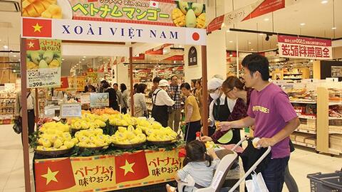 Doanh nghiệp cần chủ động mở rộng hệ thống phân phối hàng hóa ra nước ngoài