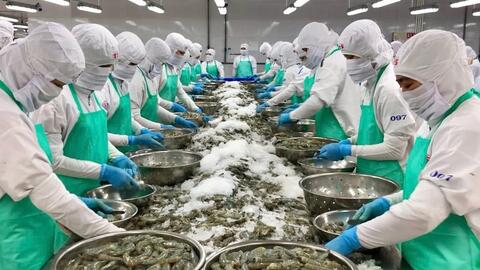 Nửa đầu năm 2025, xuất khẩu nông, lâm, thủy sản thu về 33,84 tỷ USD