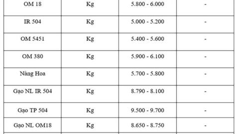 Giá lúa gạo hôm nay ngày 14/10: Thị trường lặng sóng