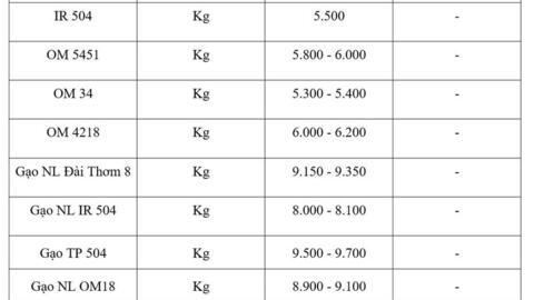 Giá lúa gạo hôm nay ngày 10/3/2026: Gạo nguyên liệu xuất khẩu OM 5451 tăng