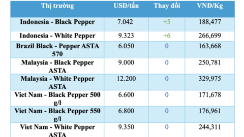 Giá tiêu hôm nay 12/3/2026: Giảm nhẹ vài nơi