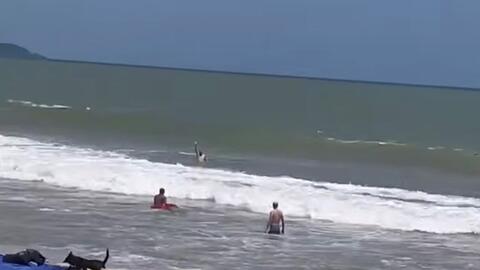 Cứu sống du khách bị sóng cuốn ở biển Nha Trang