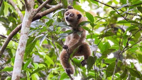 Vườn Quốc gia Kon Ka Kinh phát triển, bảo tồn gắn với du lịch