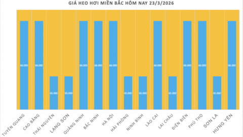 Giá heo hơi hôm nay 23/3/2026: Biến động trái chiều