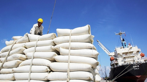 Xuất khẩu gạo của Việt Nam sang Senegal tăng gần 30 lần