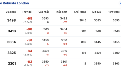 Giá cà phê hôm nay 31/3/2026: Tăng nhẹ 200 đồng/kg tại Lâm Đồng