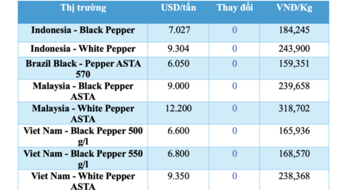 Giá tiêu hôm nay 31/3/2026: Bật tăng từ 500 - 1.000 đồng/kg
