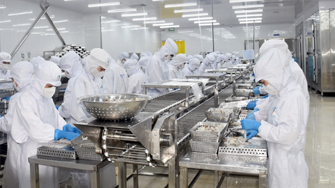 Cà Mau tăng tốc trở thành trung tâm chế biến nông - thủy sản quy mô lớn