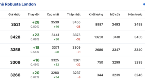 Giá cà phê hôm nay 2/4/2026: Trên đà hồi phục, tăng 1.700 đồng/kg