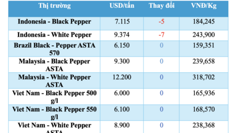 Giá tiêu hôm nay 3/4/2026: Tăng từ 500 - 1.000 đồng/kg