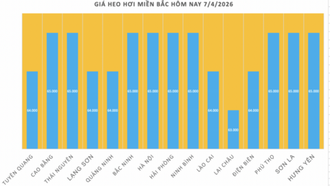 Giá heo hơi hôm nay 7/4/2026: Tăng nhẹ vài nơi
