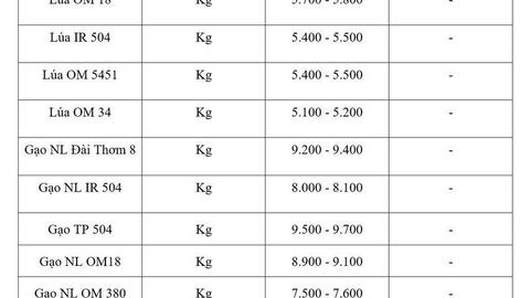 Giá lúa gạo hôm nay ngày 7/4: Gạo nguyên liệu xuất khẩu tiếp đà tăng