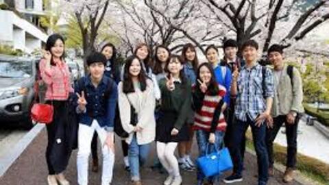 Du học sinh Hàn Quốc dùng bằng giả