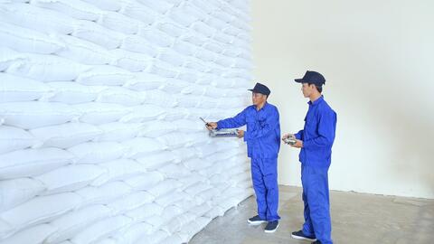 Lựa chọn nhà thầu mua 300.000 tấn gạo dự trữ quốc gia nhập kho năm 2026