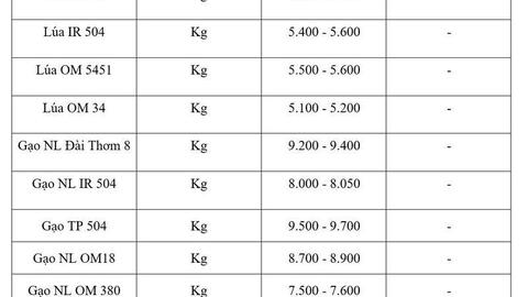 Giá lúa gạo hôm nay ngày 14/4: Gạo xuất khẩu tiếp đà tăng mạnh