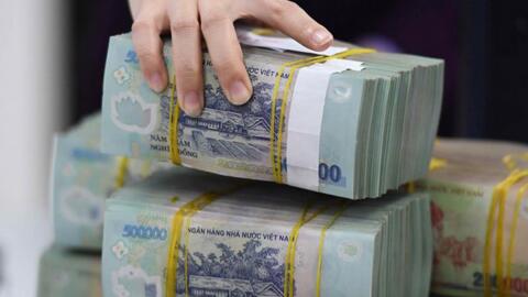 Pharmedic và VVMI trả cổ tức tiền mặt