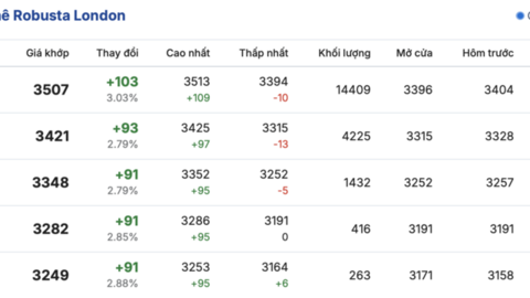 Giá cà phê hôm nay 24/4/2026: Tiếp đà tăng giá