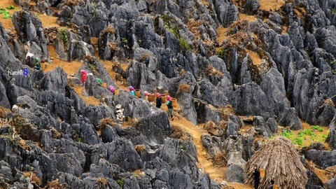Siết quản lý tour mô tô tại Cao nguyên đá Đồng Văn