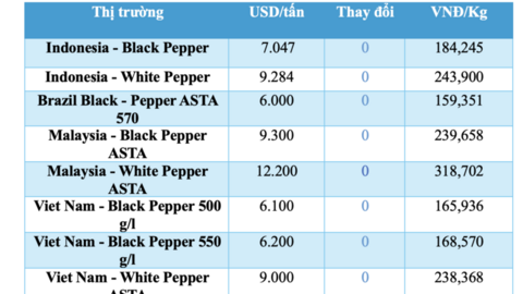 Giá tiêu hôm nay 24/4/2026: Đi ngang, cao nhất 142.000 đồng/kg