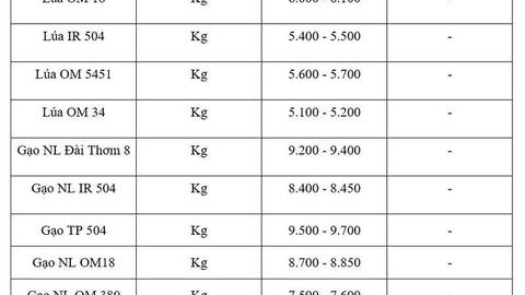 Giá lúa gạo hôm nay ngày 27/4: Gạo thơm dẻo neo cao
