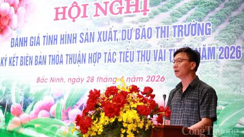 Bắc Ninh ký kết biên bản thỏa thuận, tiêu thụ vải thiều năm 2026