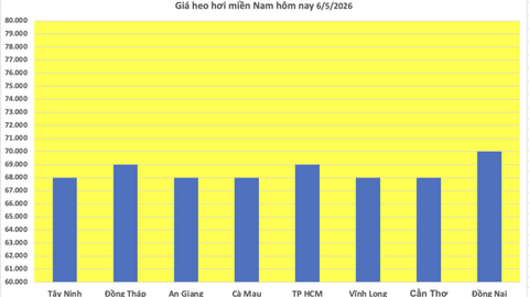 Giá heo hơi hôm nay 6/5/2026: Đi ngang trên cả 3 miền