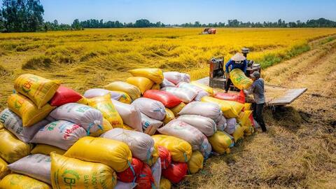An ninh lương thực ASEAN trước phép thử mới