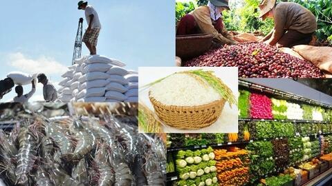 Xuất khẩu nông sản đối mặt áp lực mới từ thị trường và rào cản xanh