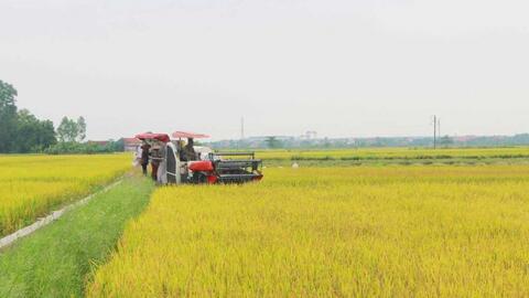 Phong trào nông dân giỏi thúc đẩy hiện đại hóa ngành nông nghiệp Quảng Ninh