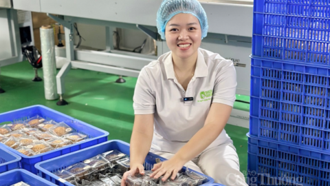 Baki Food ra mắt bánh bông lan mochi trứng chảy mùa hè 2026
