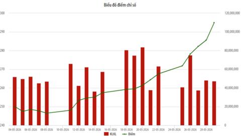 HNX-Index tăng mạnh tháng 5/2026, khối ngoại và tự doanh mua ròng cổ phiếu trên sàn HNX