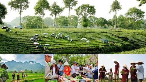 Du lịch nông thôn đẩy mạnh số hóa, tạo động lực phát triển kinh tế nông thôn