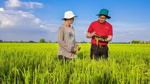 Tín dụng xanh tăng tốc nhưng doanh nghiệp vẫn “khát” vốn chuyển đổi