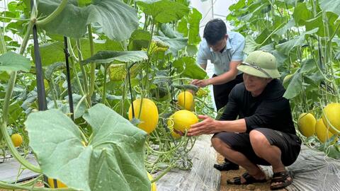Tạo động lực mới cho phát triển nông thôn, giảm nghèo bền vững ở Lai Châu