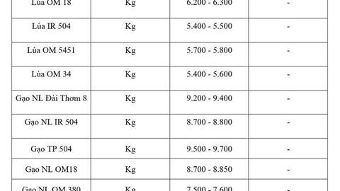 Giá lúa gạo hôm nay ngày 1/7: Gạo thơm Jasmine tăng 1.000 đồng/kg