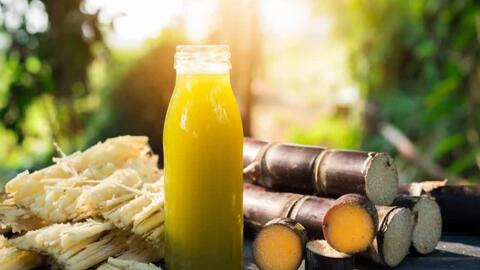Bất ngờ lợi ích sức khỏe của mía
