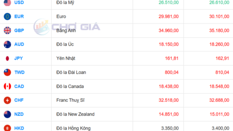 Tỷ giá USD hôm nay 7/7/2026: Đồng bạc xanh phục hồi, DXY vượt mốc 100